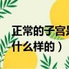 正常的子宮是什么樣的顏色?（正常的子宮是什么樣的）