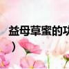 益母草蜜的功效作用與主治與用量（益母草蜜）