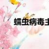 蠕蟲病毒主要危害（蠕蟲病毒的危害）