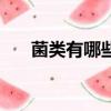 菌類有哪些圖片及名稱（菌類有哪些）
