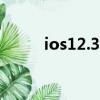 ios12.3.5越獄（ios12 3 1越獄）