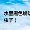 水里黑色蠕動的蟲子圖片（水里有黑色蠕動的蟲子）
