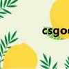 csgoesea直播（cspn直播）