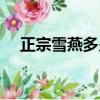 正宗雪燕多少錢一斤（雪燕多少錢一斤）