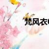 梵風衣08年值多少錢（梵風衣）