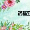 諾基亞手機（諾基亞n1208）