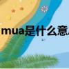 mua是什么意思啊英語（mua是什么意思啊）