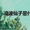 凌波仙子是什么花種（凌波仙子是什么花）