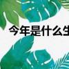 今年是什么生肖年份（今年是什么生肖年）