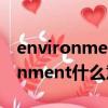 environment什么意思翻譯成中文（environment什么意思）