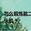 怎么鍛煉肱二頭肌和肱三頭肌（怎么鍛煉肱二頭肌）