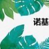 諾基亞N76（諾基亞n74）