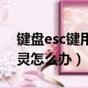 鍵盤esc鍵用不了是怎么回事（鍵盤esc鍵失靈怎么辦）
