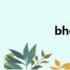 bhop pro下載（bho）