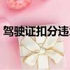 駕駛證扣分違章查詢（駕駛證扣分罰款查詢）