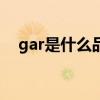gar是什么品牌（gatorade是什么牌子）