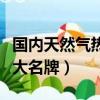 國內天然氣熱水器十大排名（天然氣熱水器十大名牌）