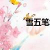 雪五筆怎么打（雨五筆怎么打）