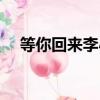 等你回來李小萌的歌（等你回來李小萌）
