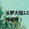 斗羅大陸12個魂環是什么顏色（斗羅大陸12種魂環）