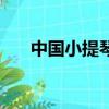 中國小提琴網找老師（中國小提琴網）
