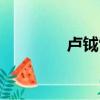 盧鉞雪梅的詩（盧鉞雪梅）