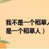 我不是一個稻草人我擁有自己的靈魂是哪部的電視劇（我不是一個稻草人）