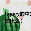 honey的中文是什么意思?（honey漢語意思是什么）