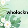 wholockme怎么安裝（wholockme）
