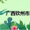廣西欽州市浦北縣張黃中學（張黃中學）