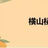 橫山橋鎮黨委書記（橫山橋）