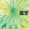藍牙耳機怎么開機（藍牙）