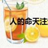 人的命天注定歌曲原唱（人的命天注定）