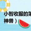 小智收服的第一只神獸是（小智收服的第一只神獸）