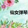 仙女彈琴的奇石的樣子（仙女彈琴）