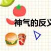 神氣的反義詞一百個（神氣的反義詞）