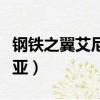 鋼鐵之翼艾尼維亞值多少錢（鋼鐵之翼艾尼維亞）