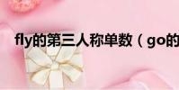 fly的第三人稱單數(go的第三人稱單數)