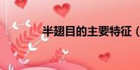 半翅目的主要特征(半翅目)