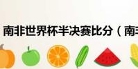 南非世界杯半決賽比分(南非世界杯半決賽)