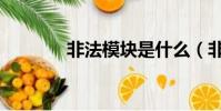 非法模塊是什么(非法模塊)