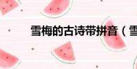 雪梅的古詩帶拼音(雪梅的古詩)