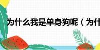 為什么我是單身狗呢(為什么我是單身狗)