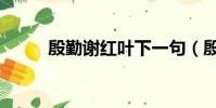 殷勤謝紅葉下一句(殷勤謝紅葉)