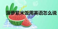 菠蘿紫米飯用英語怎么說(菠蘿紫米飯)