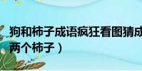 狗和柿子成語瘋狂看圖猜成語(瘋狂猜成語狗兩個柿子)