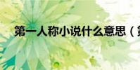 第一人稱小說什么意思(第一人稱小說)