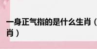 一身正氣指的是什么生肖(一身正氣指什么生肖)