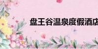 盤王谷溫泉度假酒店(盤王)