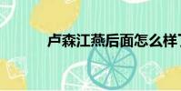 盧森江燕后面怎么樣了(盧森)